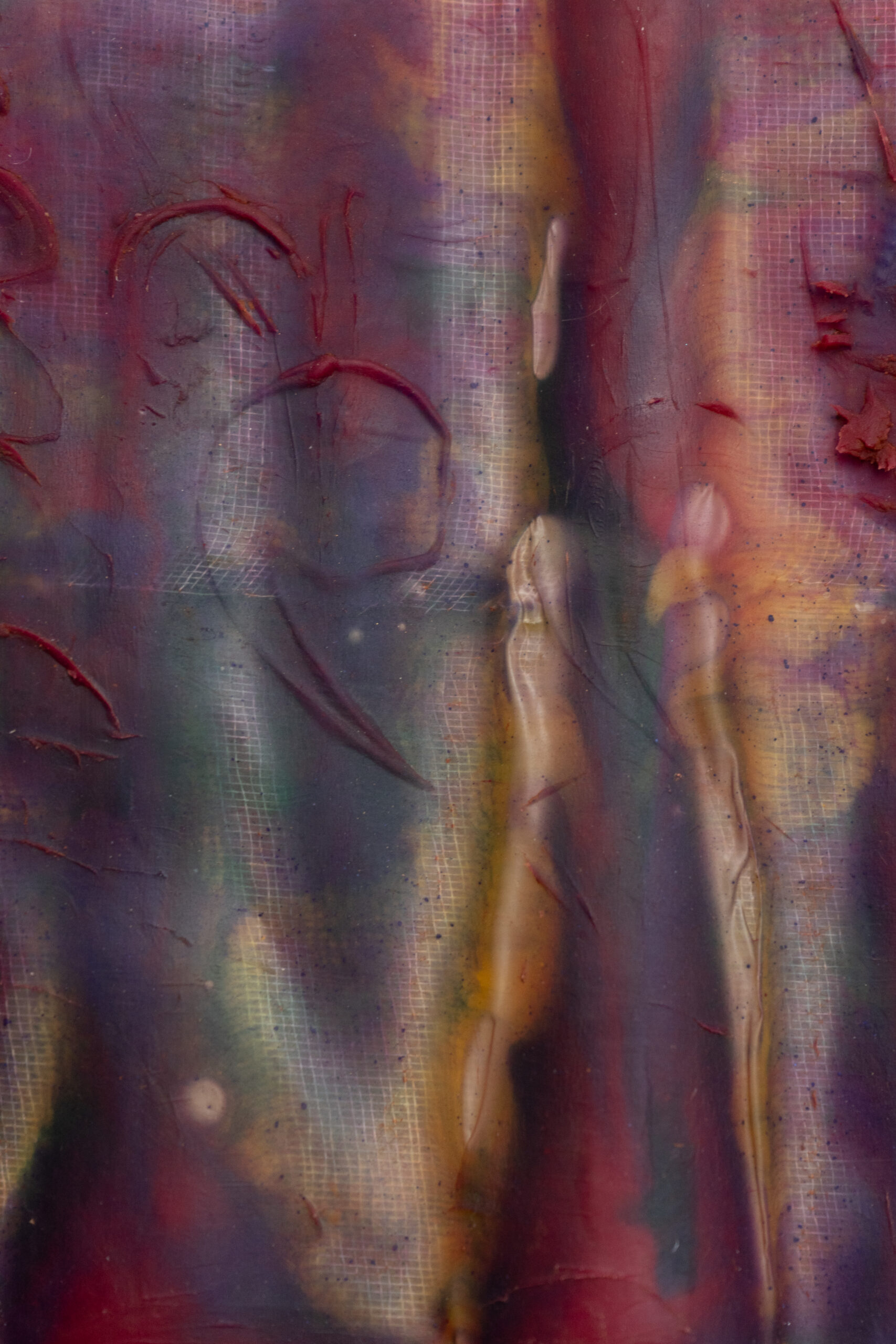 EG_00481